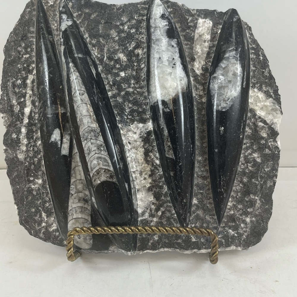 Black and White Fossil Stone Sculpture